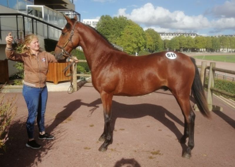 You are currently viewing 5ème journée des Ventes : Kyoto de Lou fait tomber le marteau à 26 000 €