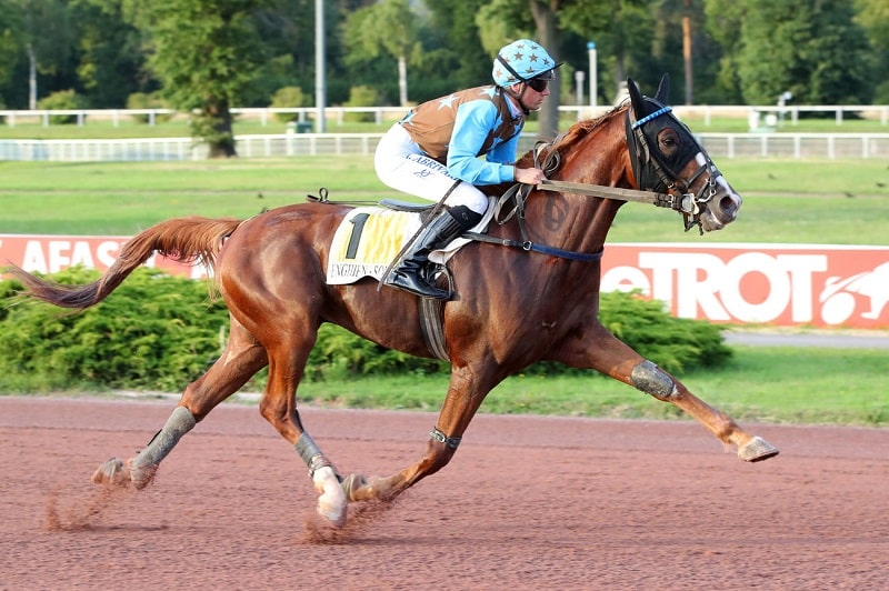 You are currently viewing Kaël de Keryann laisse une belle impression