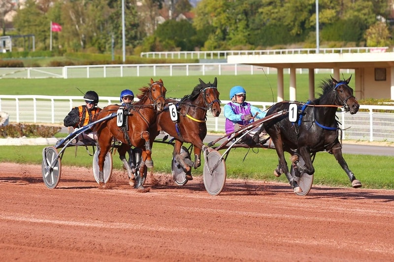 You are currently viewing Kalie Glycines – Kalika du Ris : un joli couplé gagnant à Enghien