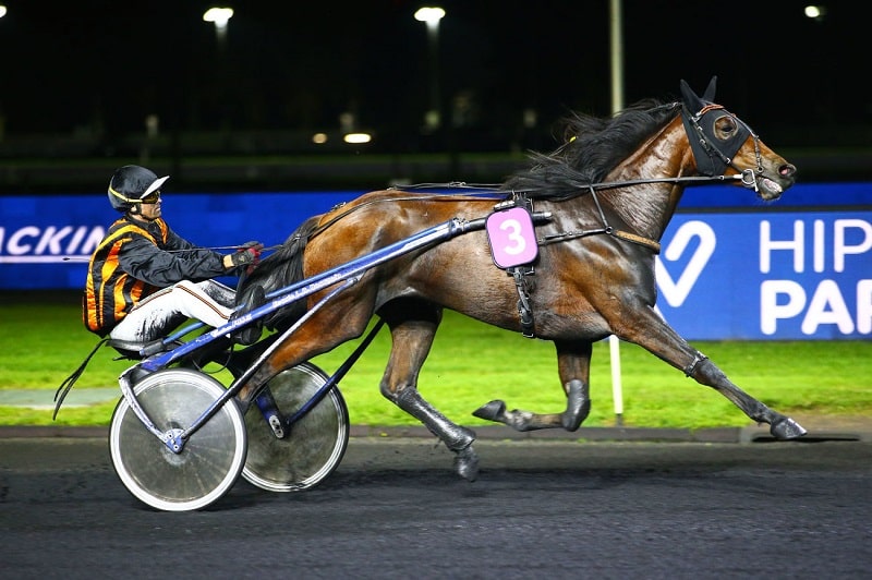 You are currently viewing Karla de Mai et Gai Printemps, les beaux vainqueurs parisiens de notre week-end