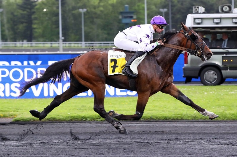 You are currently viewing Kash de Tillard brille à Vincennes