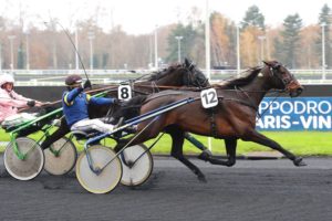 Lire la suite à propos de l’article KOOL DES CHAMPS (2020)