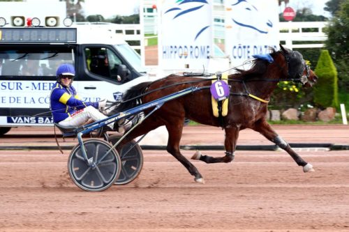Kool du Châtelet – Joker de la Crière : double réussite Premium