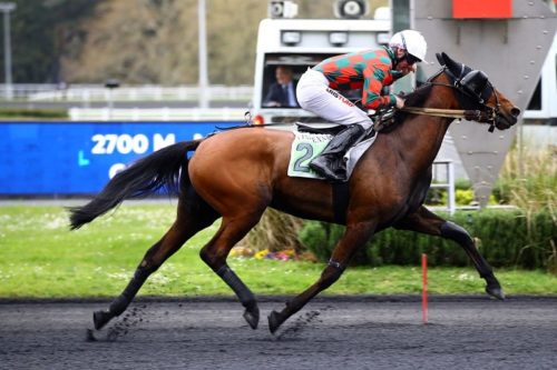 Kyrielle des Vaux : la plus brillante étoile de l’Élevage Blestel