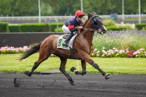 Label de Tillard et Lexington Danica font belle impression à Vincennes