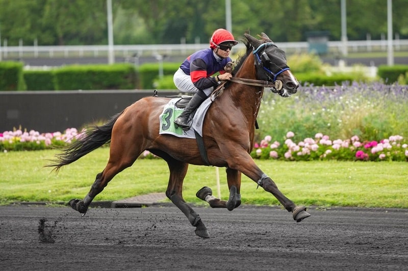 You are currently viewing Label de Tillard et Lexington Danica font belle impression à Vincennes