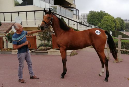 3 top-prices pour un deuxième rendez-vous encore animé