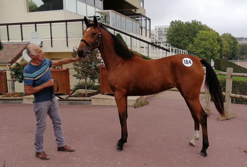 You are currently viewing 3 top-prices pour un deuxième rendez-vous encore animé