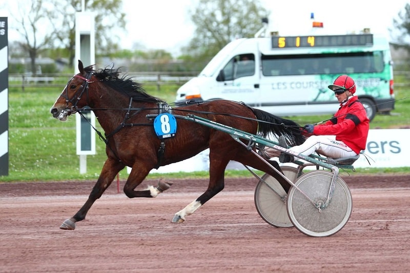 You are currently viewing Belle première pour Landsman