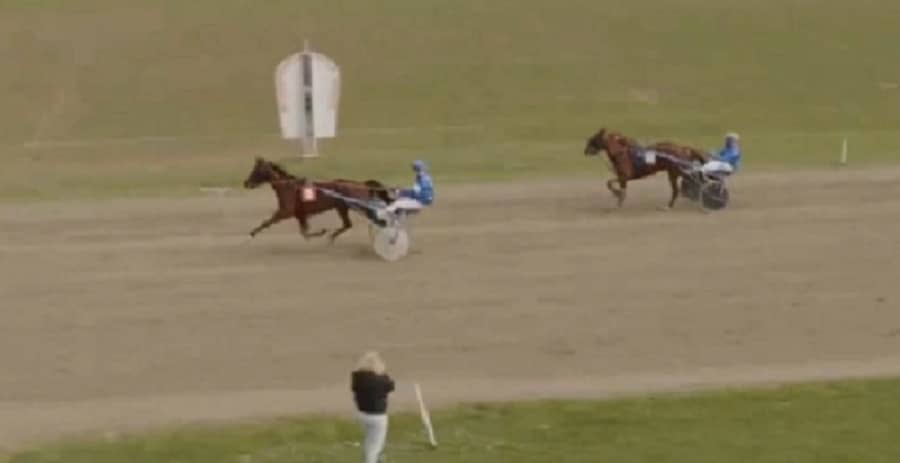 You are currently viewing Trois « L » à l’honneur pour leurs débuts !