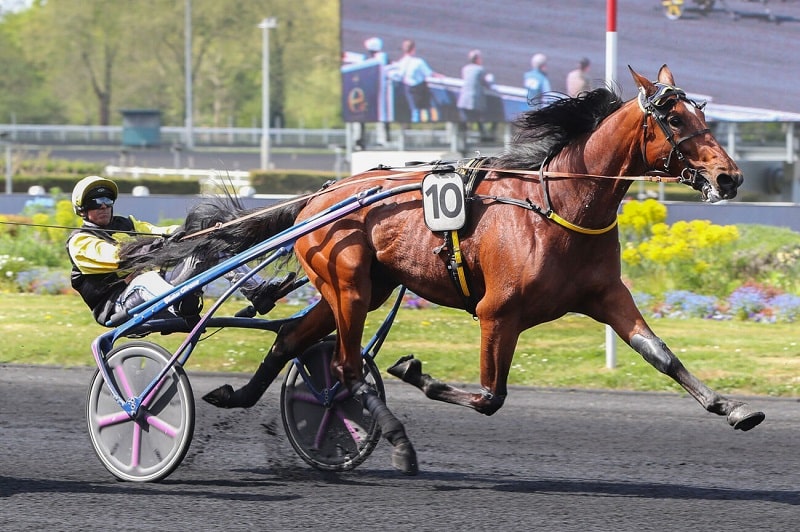 You are currently viewing Une première à Vincennes pour le prometteur Live To Tell