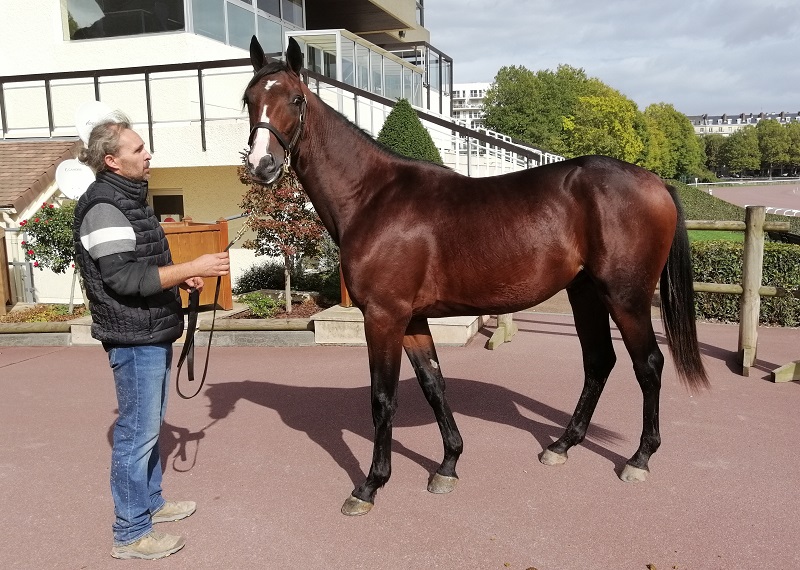 You are currently viewing Lover Boy (Eridan), top price à 50 000 € d’une journée record