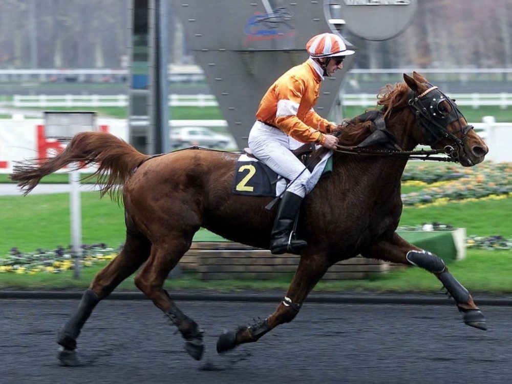 You are currently viewing LUNE DU DOLLAR (1999)