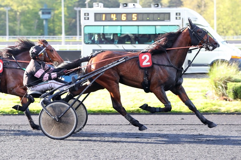 You are currently viewing Lynx du Châtelet confirme au niveau parisien