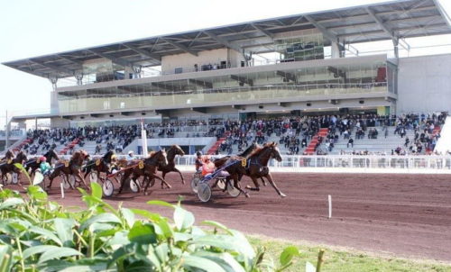 Harlem du Boulay se plaît à Lyon-la-Soie