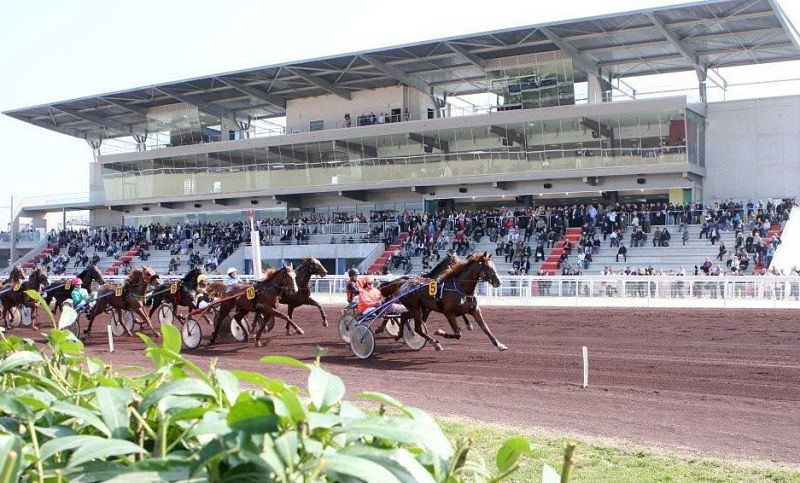 You are currently viewing Harlem du Boulay se plaît à Lyon-la-Soie