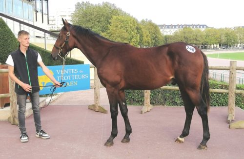 Une nouvelle année record !