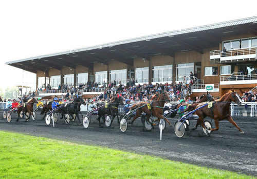 Iris Intense double brillamment la mise