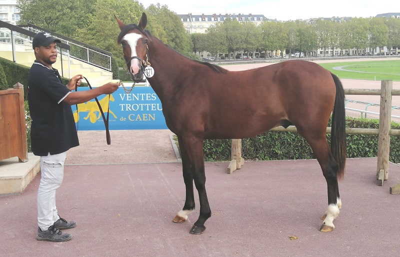 You are currently viewing Milord de Tillard top price à 38 000 € !