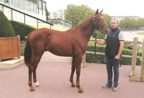 Montsecret nouveau record caennais à 100 000 € !