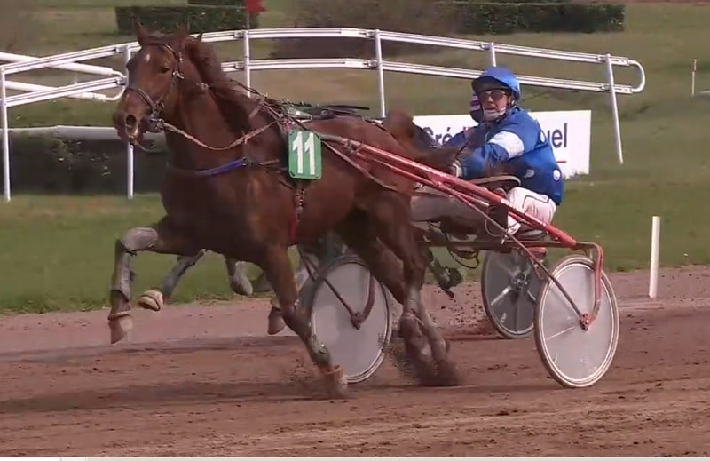 You are currently viewing Belle première pour Moody de Vive