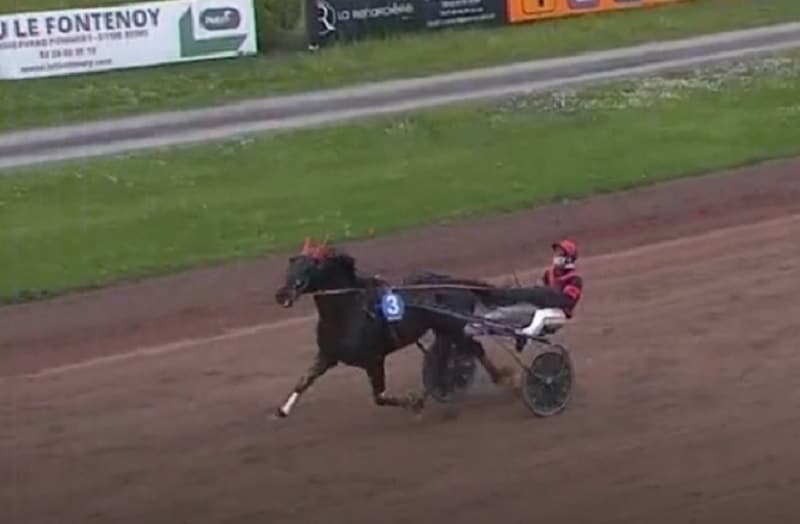 You are currently viewing Une première victoire prometteuse pour Mowgly Fréca