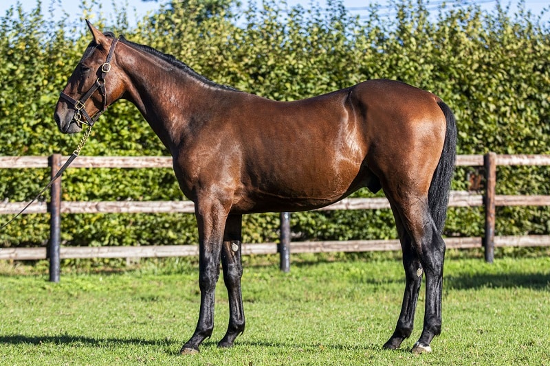 You are currently viewing 11 nouveaux « M » s’ouvrent les portes de la compétition