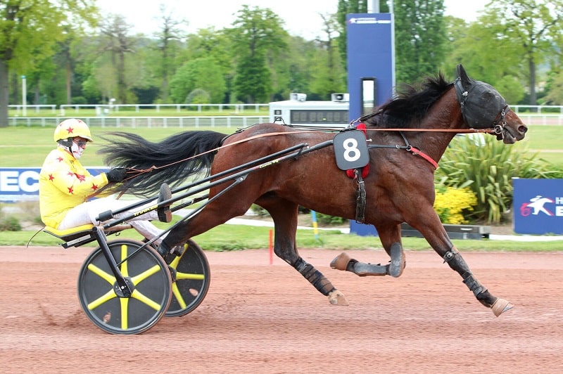 You are currently viewing Une première victoire pour le prometteur Maradona Ellis