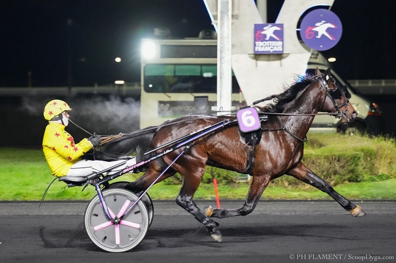 You are currently viewing Mardouk de Godrel et Mina de Bassière font belle impression