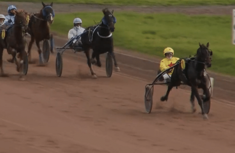 You are currently viewing 8 nouveaux gagnants au compteur dont le prometteur Mardouk de Godrel