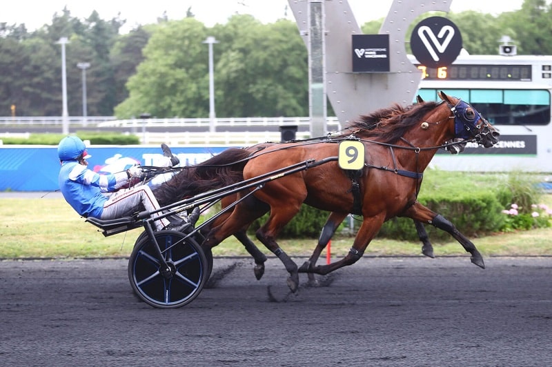 You are currently viewing Mat Manathis le plus fort dans le Prix Kalmia