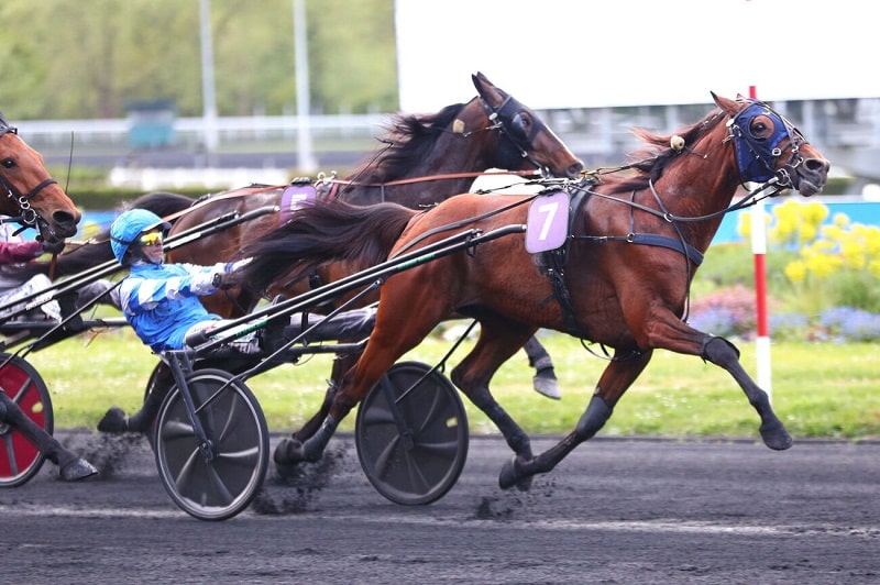 You are currently viewing MAT MANATHIS (2022)