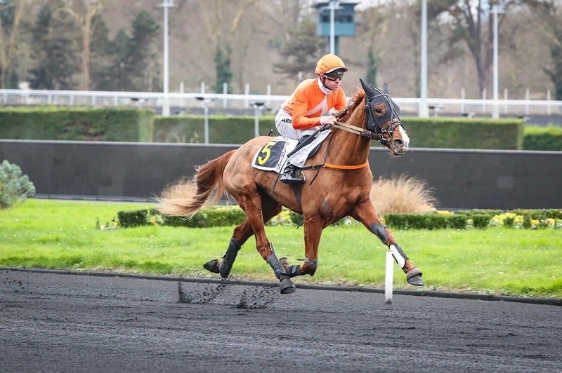 You are currently viewing Mélisse des Epines, notre dernière gagnante 2024