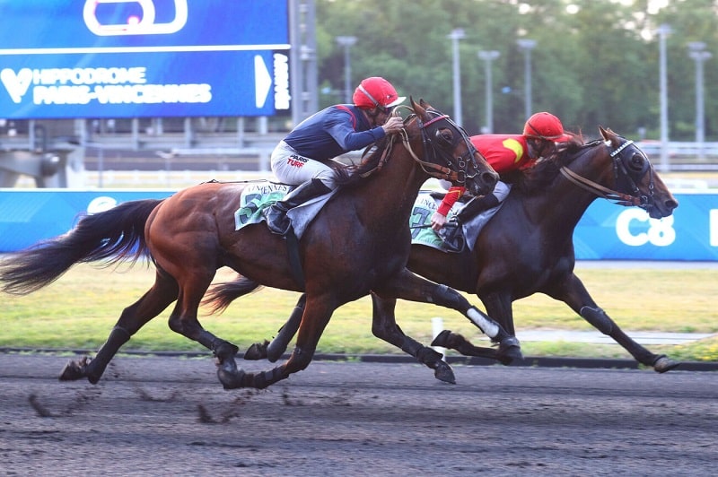 You are currently viewing Milor de la Vallée – Iokina de Keryann : joli coup de deux parisien