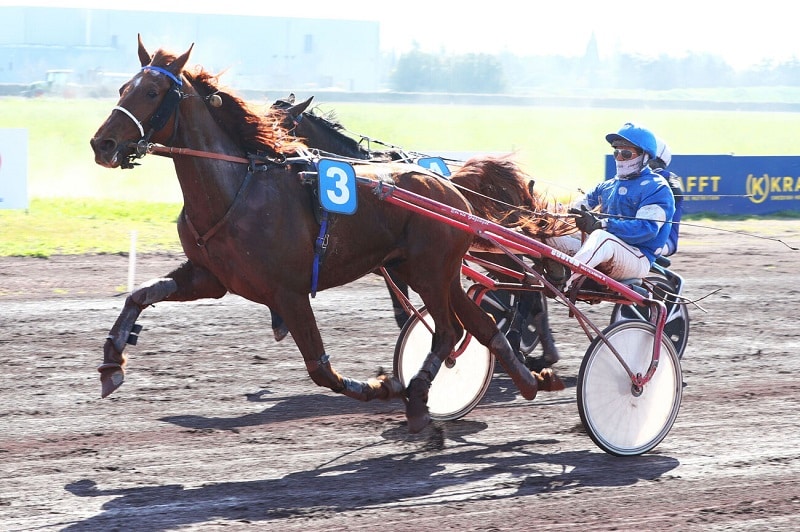 You are currently viewing Moody de Vive fait belle impression à Salon-de-Provence