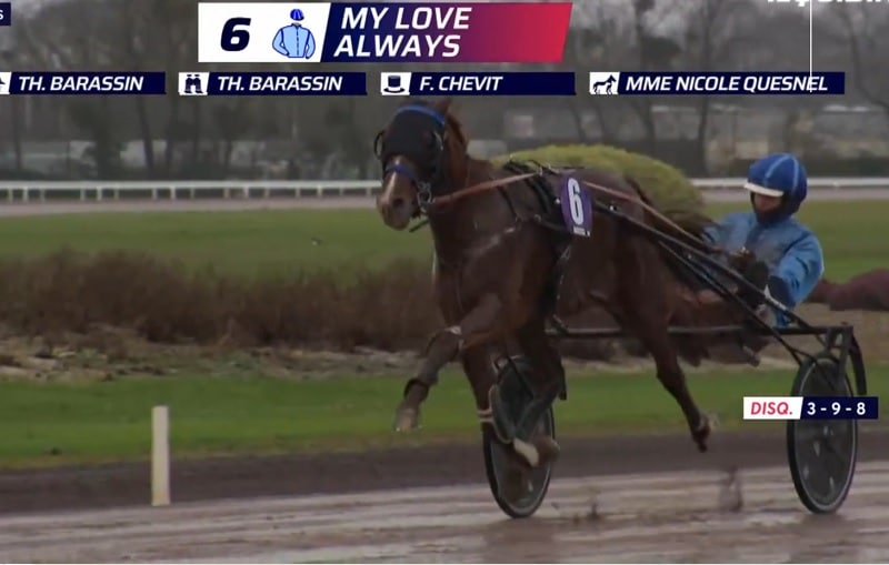 You are currently viewing My Love Always double la mise