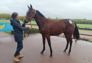 Lire la suite à propos de l’article Napolitaine Vivrot (Italiano Vero) adjugée 30 000 €