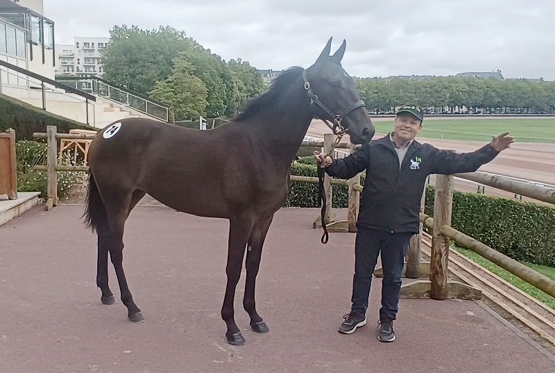 You are currently viewing New Doll Nice, top price à 38 000 € d’une journée d’ouverture animée