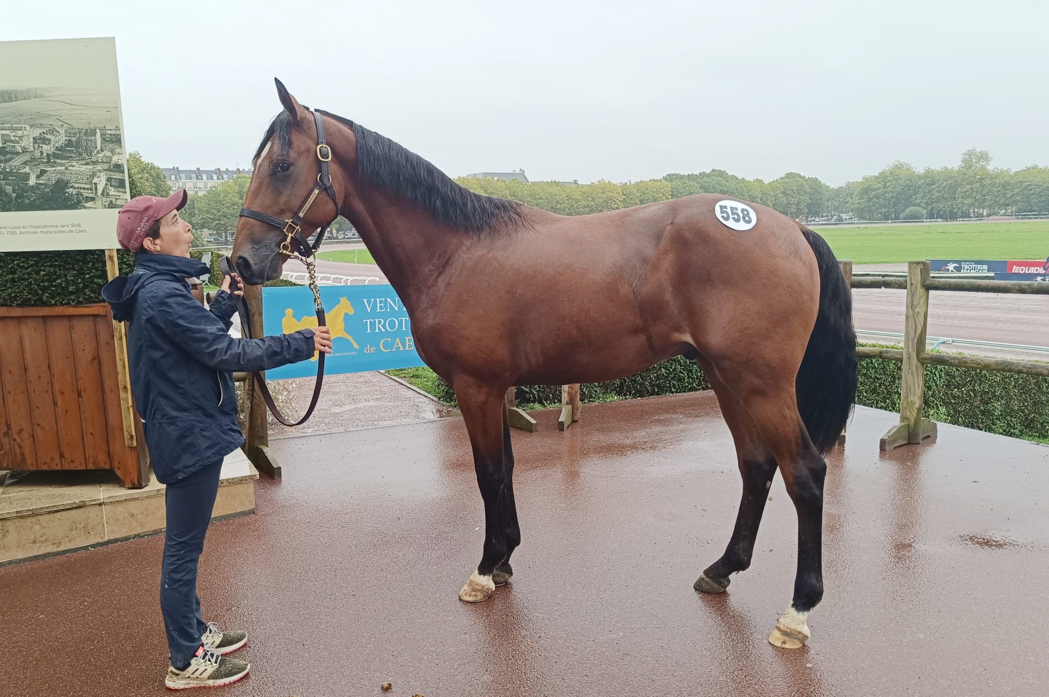 You are currently viewing Nobel de Nganda top price à 90 000 € d’une journée record