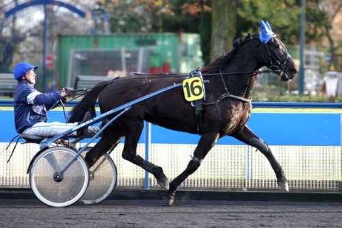 NOUBA DU SAPTEL (2001)