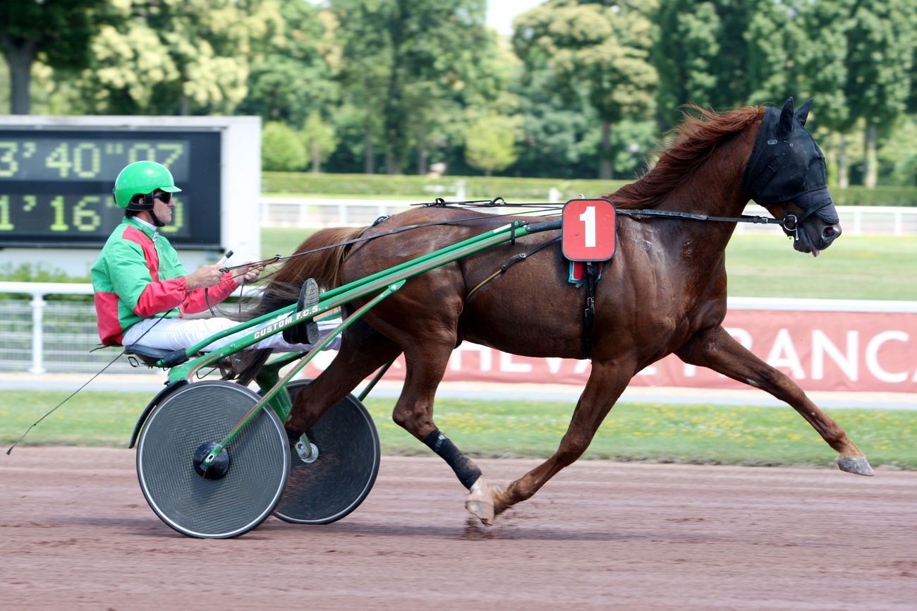 You are currently viewing PARADIS CORDIERE (2003)