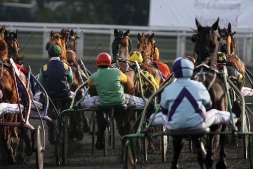 Le bilan du week-end : 15 gagnants et 3 placés de Groupe I