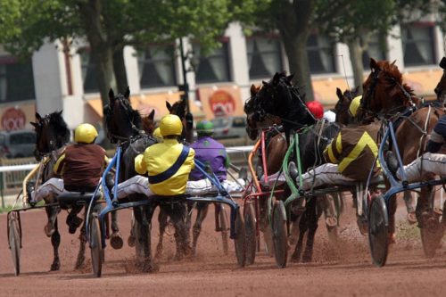 Double réussite Premium à Feurs