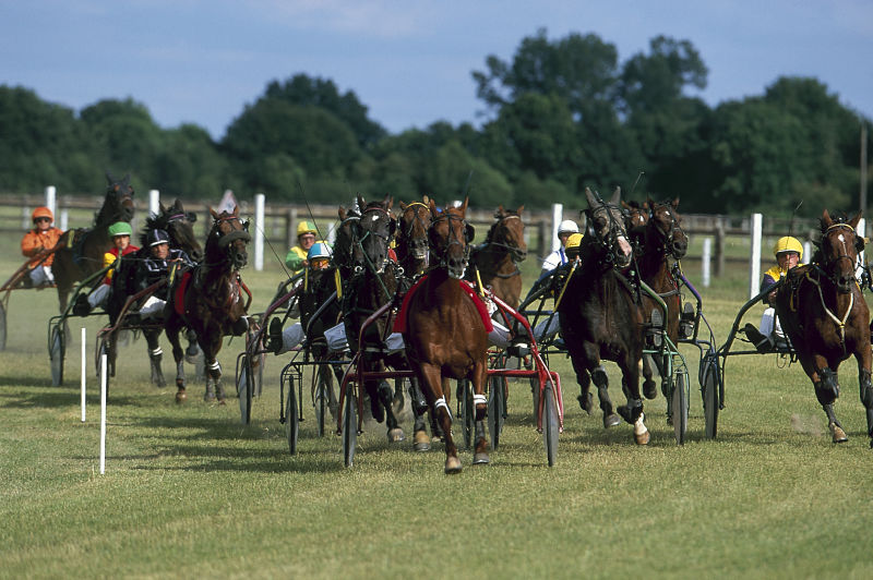 You are currently viewing Gladova reçue 2 sur 2