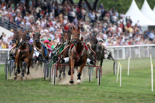 Le bilan du week-end : 10 vainqueurs