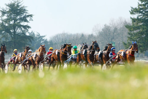 Le bilan du week-end : la preuve par 9