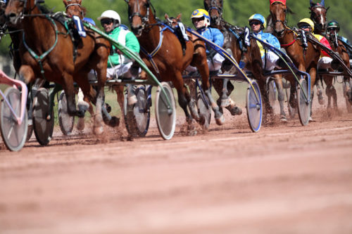 Mira de Froulay et Mystère des Mares doublent la mise