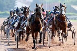 Lire la suite à propos de l’article Gondor, un sujet éclectique