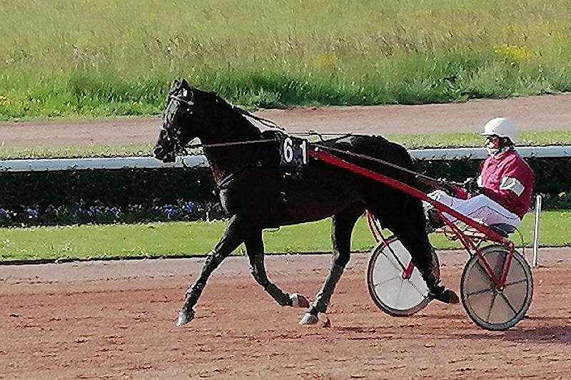 You are currently viewing Des « H » appliqués