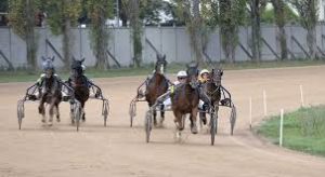 Lire la suite à propos de l’article 9 nouveaux « H » prêts à en découdre